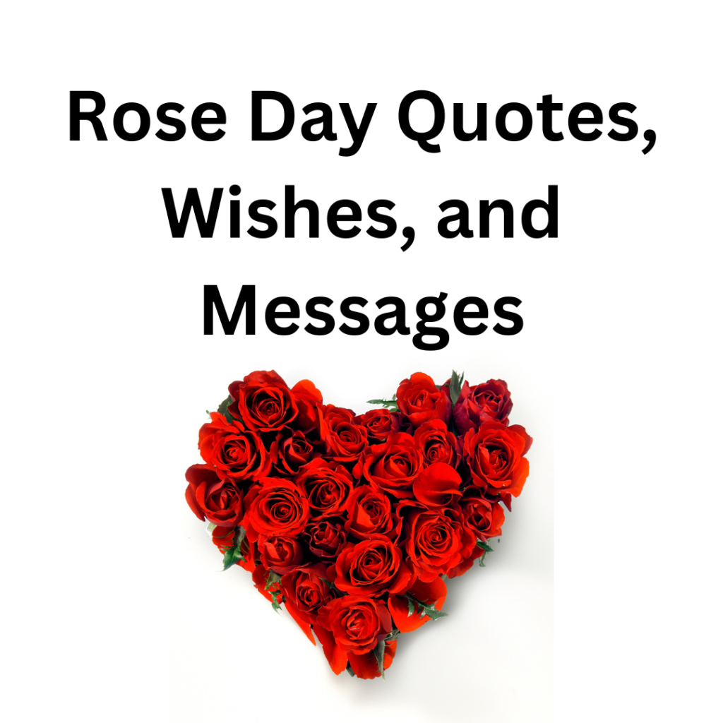 rose day quotes, wishes and messages